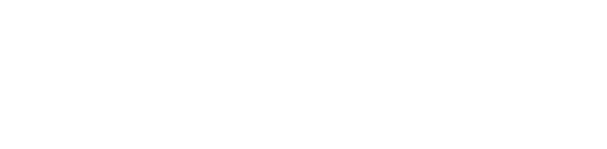 Bluwel Logistics — Remote Area & Project Cargo Specialist Indonesia
